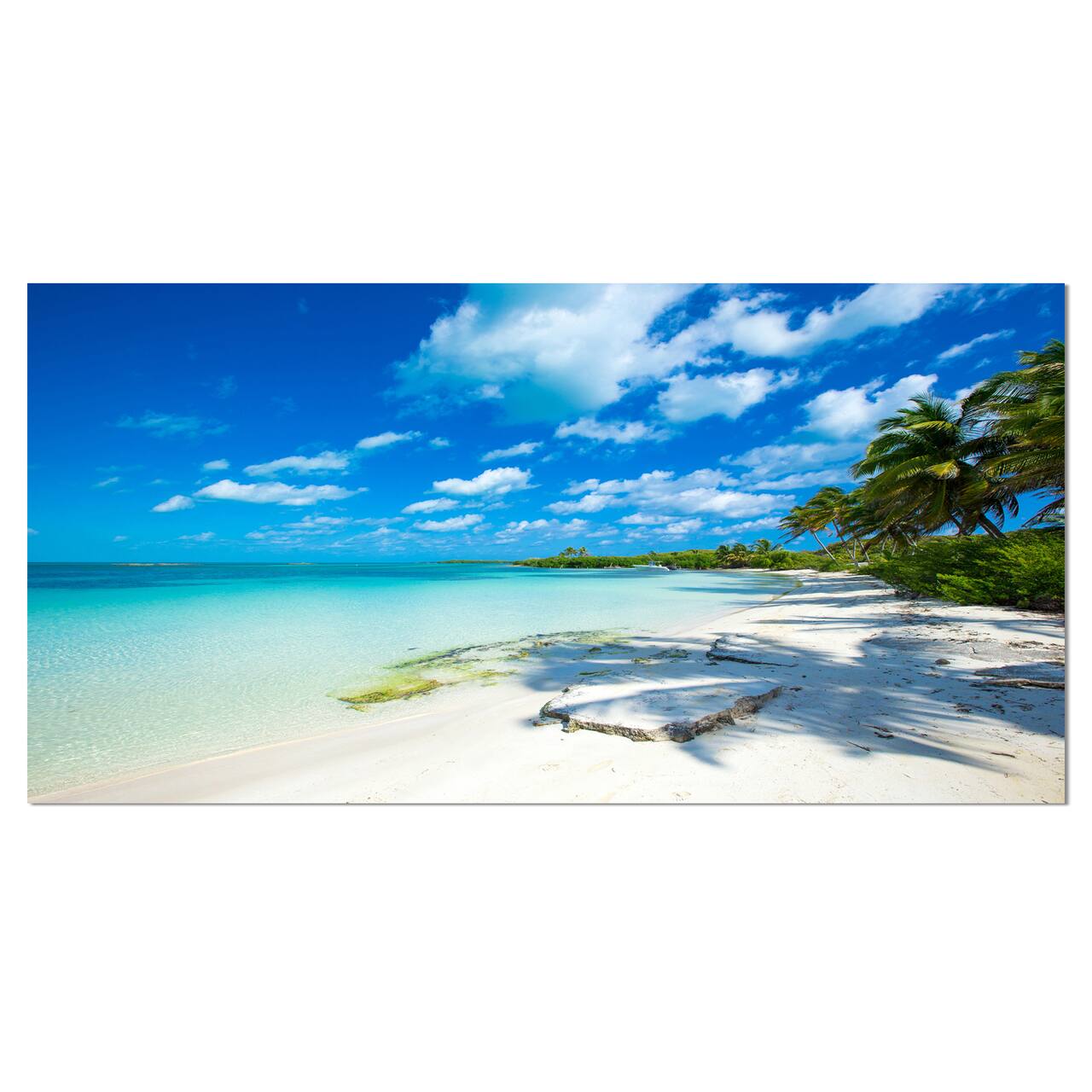 Designart - Tropical Beach with Palm Shadows - Large Seashore Canvas Print